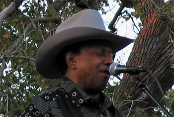 Lonnie Brooks at the Naperville Last Fling - September 4, 2009